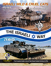 Tiran 3, 5 and 6 Tank Wrecks